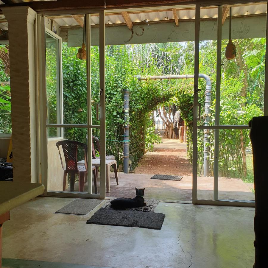 Happy Cocos Beach House Васкадува Екстер'єр фото