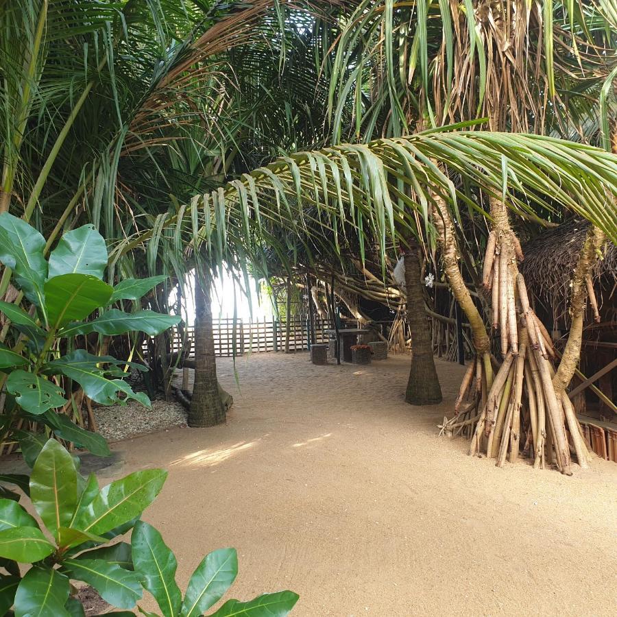 Happy Cocos Beach House Васкадува Екстер'єр фото