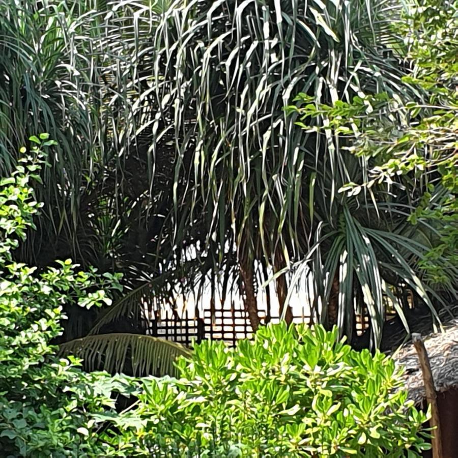 Happy Cocos Beach House Васкадува Екстер'єр фото